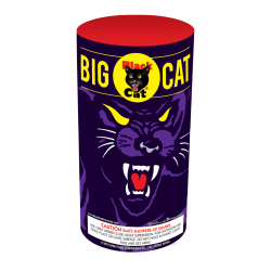 BLACK CAT BIG CAT